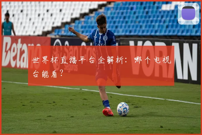 世界杯直播平台全解析:哪个电视台能看?